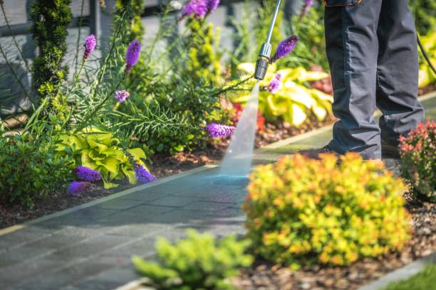 Best Warehouse Cleaning  in Wauseon, OH