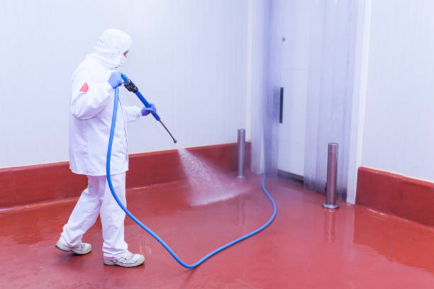 Best Dumpster Area Cleaning  in Wauseon, OH