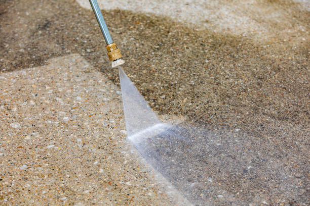 Best Gutter Cleaning  in Wauseon, OH